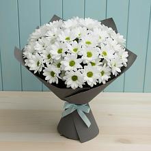 Букет цветов из:  Хризантемы #REPLACE_PRED# Щелкане