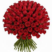 Букет Красные розы Чери Лав #REPLACE_PRED# Щелкане